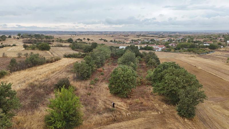 İlan Görseli https://cdn.ilanlar.com/images/l1/l2/{width}/{height}/30007368_1768081253798012630.jpg