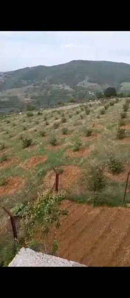 İlan Görseli 3