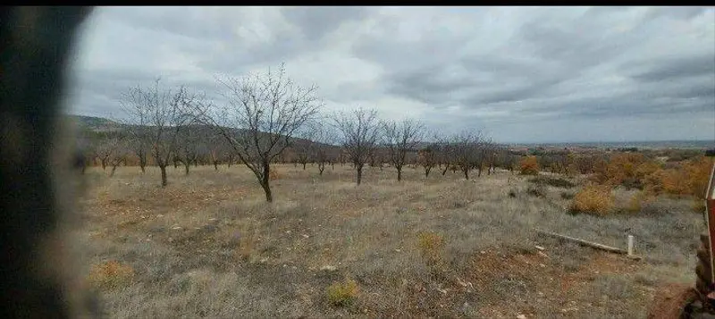 İlan Görseli https://cdn.ilanlar.com/images/l1/l2/{width}/{height}/30007470_1768304880504980895.jpg