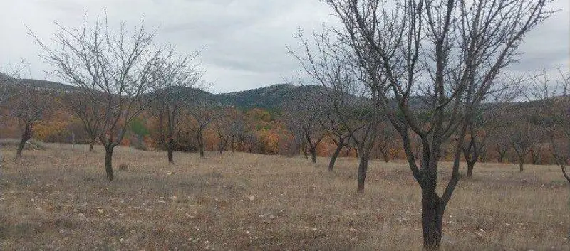 İlan Görseli https://cdn.ilanlar.com/images/l1/l2/{width}/{height}/30007470_1768304880803025674.jpg