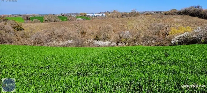 İlan Görseli 2