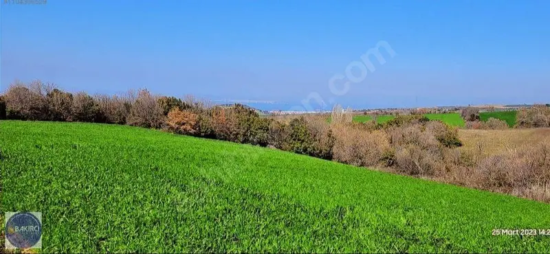 İlan Görseli 3