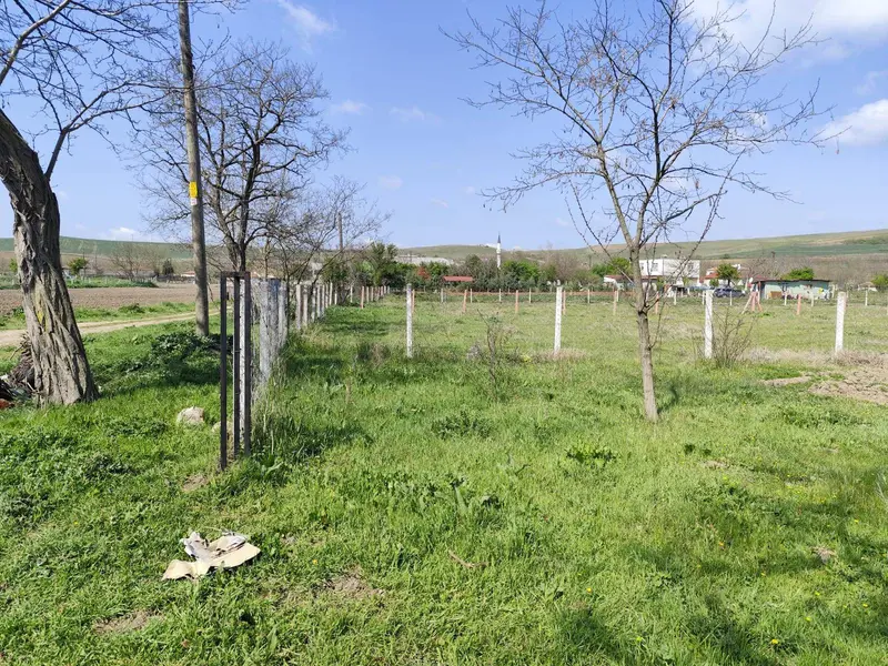 İlan Görseli 2