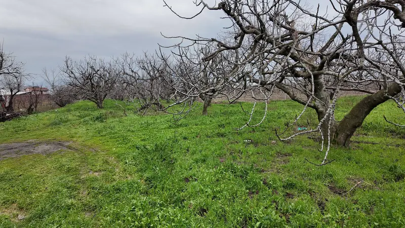 İlan Görseli https://cdn.ilanlar.com/images/l1/l2/{width}/{height}/30007563_1768487309344525259.jpg