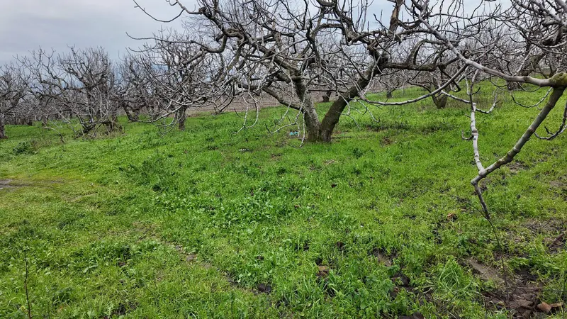 İlan Görseli https://cdn.ilanlar.com/images/l1/l2/{width}/{height}/30007563_1768487311362962816.jpg