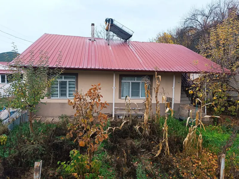 İlan Görseli https://cdn.ilanlar.com/images/l1/l2/{width}/{height}/30007564_1768487480151507528.jpg