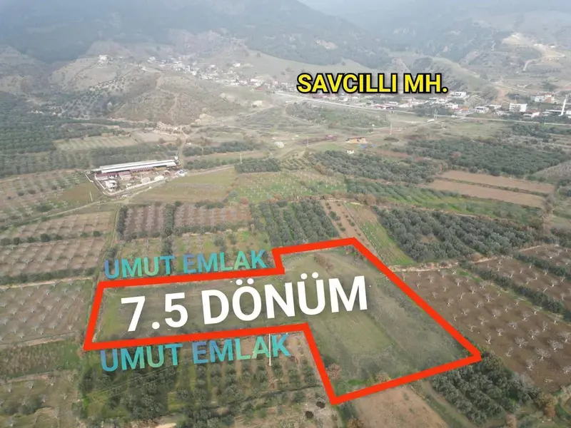 İlan Görseli 2