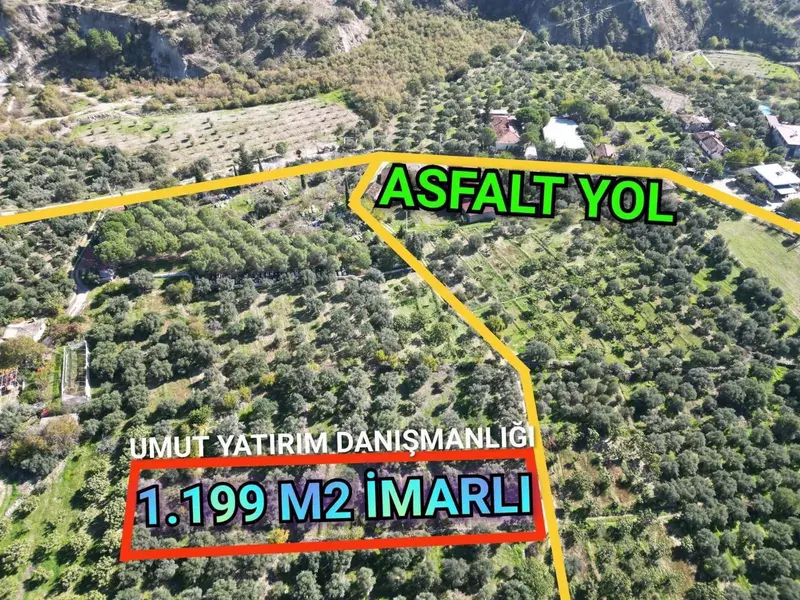 BUHARKENT FESLEK MAH. 1.199 M2 KÖY İÇİ İMARLI ZEYTİNLİK SATILIKTIR