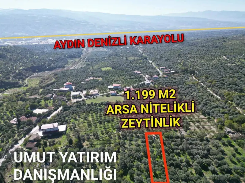 İlan Görseli 2