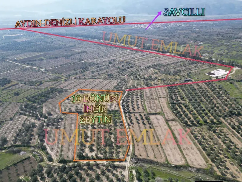UMUT EMLAKTAN BUHARKENT SAVCILLI DA 10 DÖNÜM TARLA SATILIKTIR