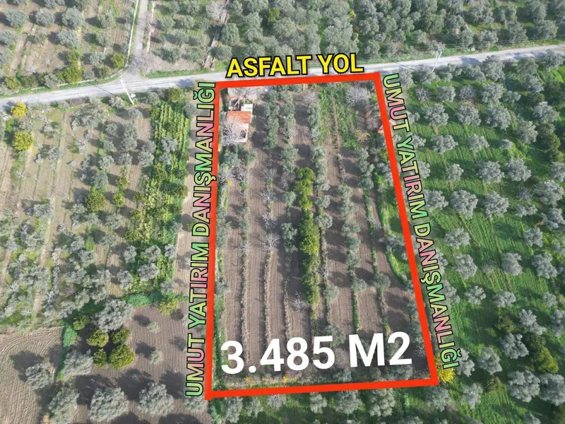 UMUT EMLAKTAN BUHARKENT FESLEKTE 3.845 M2 BAĞ EVİ BAHÇESİ SATILIKTIR