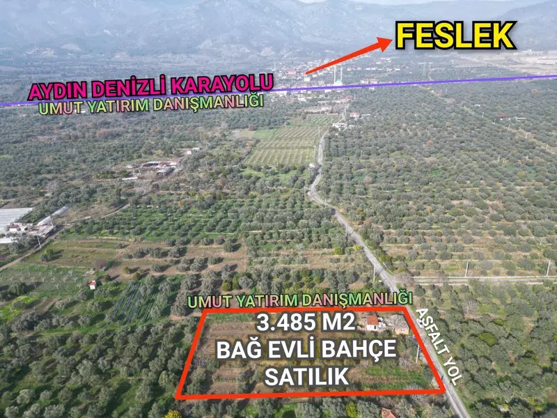 İlan Görseli 2