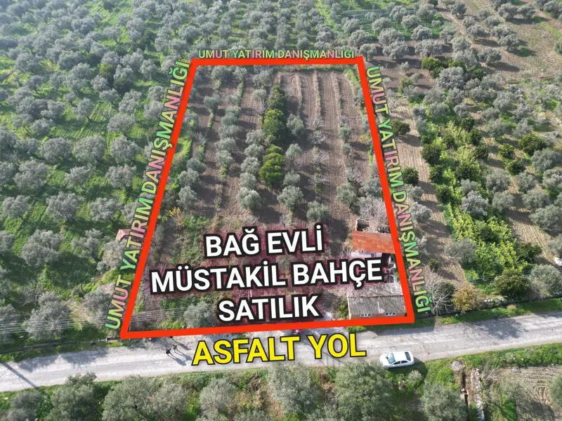 İlan Görseli 3