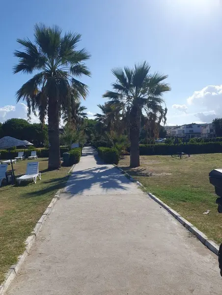 İlan Görseli 2