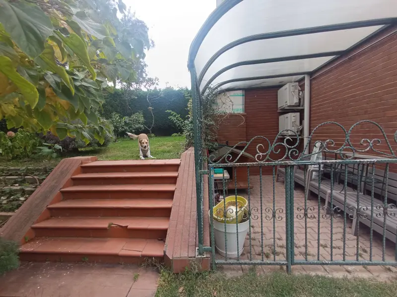 İlan Görseli https://cdn.ilanlar.com/images/l1/l2/{width}/{height}/30007736_1768849749155223994.jpg