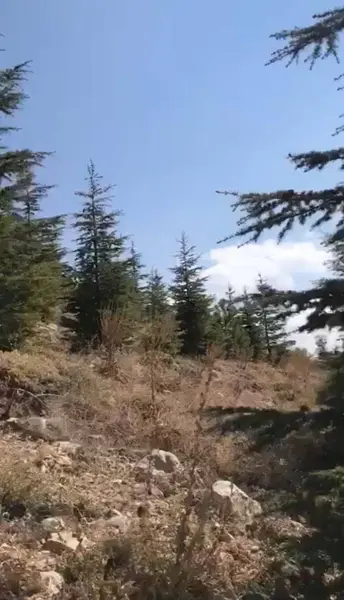 İlan Görseli 2