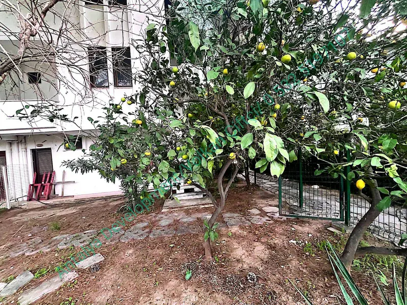 İlan Görseli https://cdn.ilanlar.com/images/l1/l2/{width}/{height}/30007789_1769080879228714179.jpg