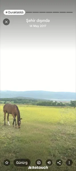 Çiftlik icinde 13600 m kare tarla satılık 17 milyon