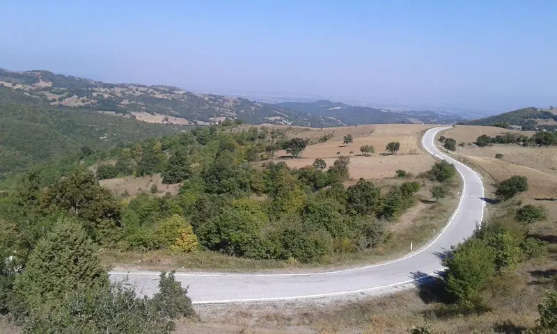İlan Görseli 2