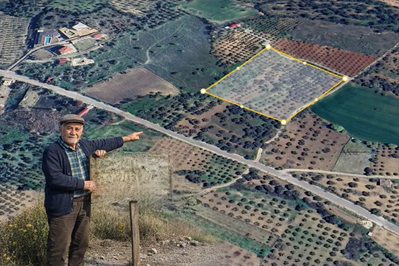 #Sahibinden# ÇAPAKTA ZEYTİNLİK 3.5 dönüm 4550000