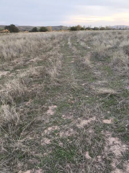 İlan Görseli https://cdn.ilanlar.com/images/l1/l2/{width}/{height}/30008046_1769976527386037760.jpg