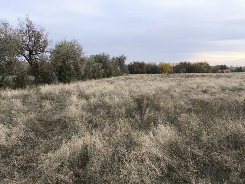 İlan Görseli https://cdn.ilanlar.com/images/l1/l2/{width}/{height}/30008046_1769976529443447835.jpg