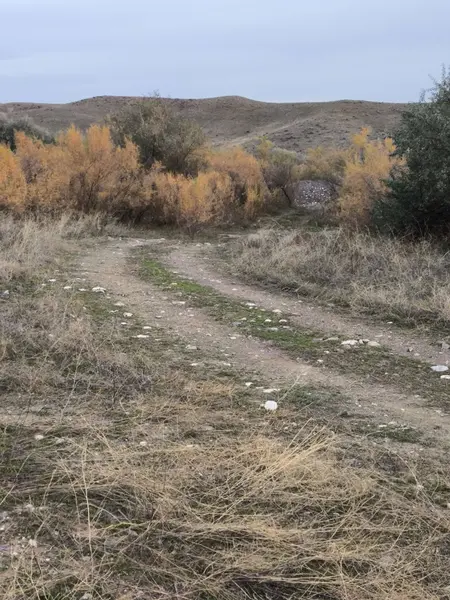 İlan Görseli https://cdn.ilanlar.com/images/l1/l2/{width}/{height}/30008046_1769976531374009305.jpg