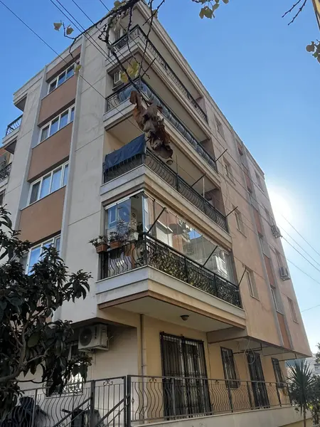 İlan Görseli https://cdn.ilanlar.com/images/l1/l2/{width}/{height}/30008051_1770044828222692405.jpg