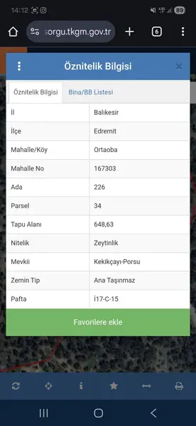 İlan Görseli 2