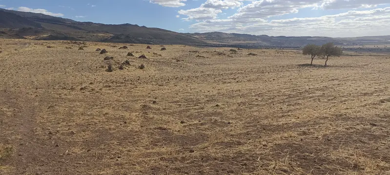 İlan Görseli https://cdn.ilanlar.com/images/l1/l2/{width}/{height}/30008118_1770214562279735059.jpg