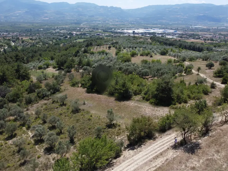 PAMUKOVA TEŞVİKİYE'DE MANZARALI YATIRIMLIK 724 m² YOLA CEPHE HOBİ BAHÇESİ
