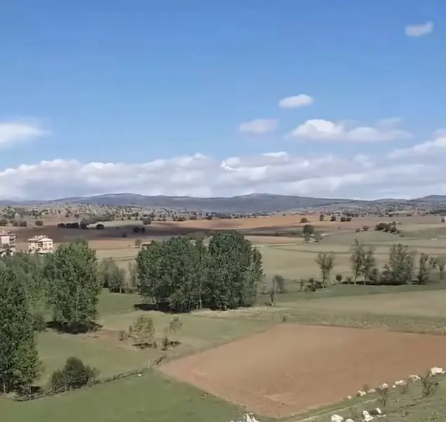 İlan Görseli 2