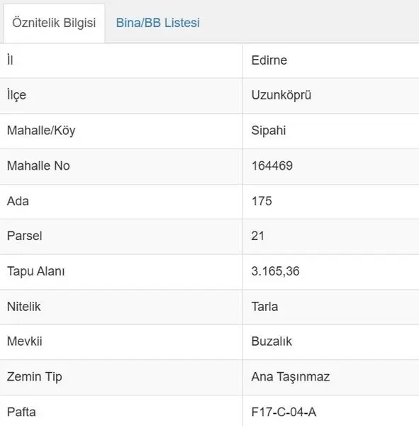 İlan Görseli 2