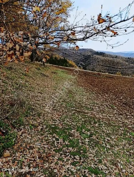 İlan Görseli 3