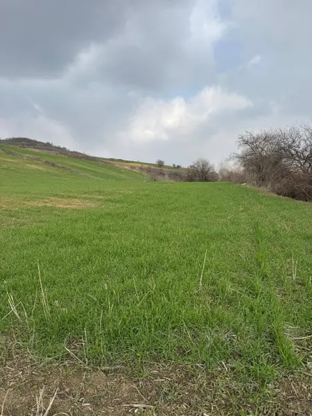 İlan Görseli 2