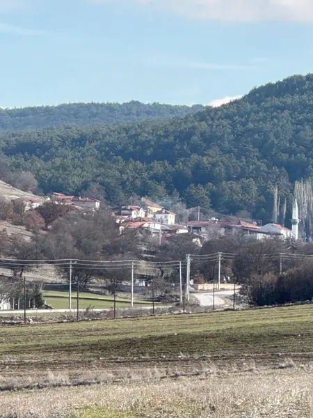 İlan Görseli 2