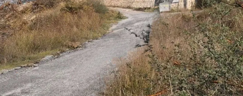 İlan Görseli https://cdn.ilanlar.com/images/l1/l2/{width}/{height}/30008778_1772877055548528309.jpg