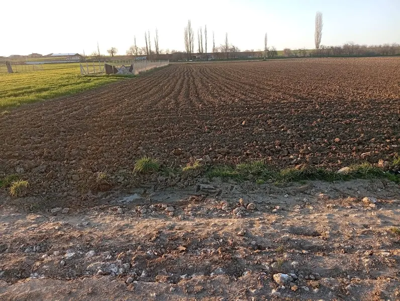 İlan Görseli 2