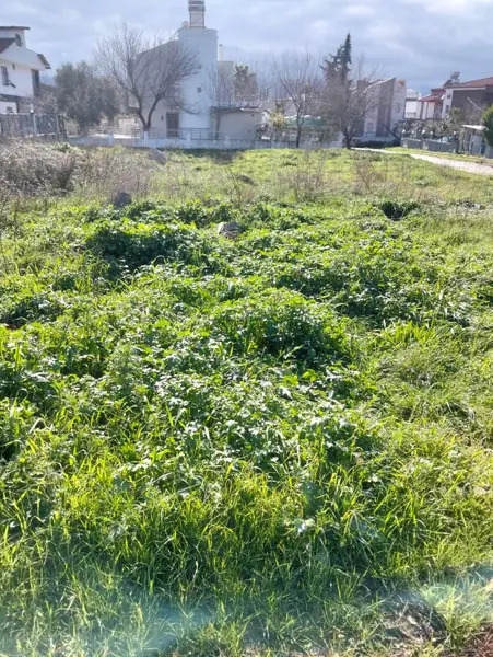 İlan Görseli https://cdn.ilanlar.com/images/l1/l2/{width}/{height}/30008832_1773318776306135620.jpg