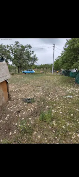 İlan Görseli 2
