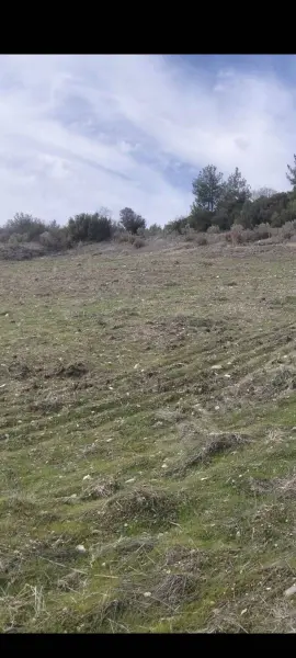 İlan Görseli https://cdn.ilanlar.com/images/l1/l2/{width}/{height}/30008961_1773971219651512217.jpg