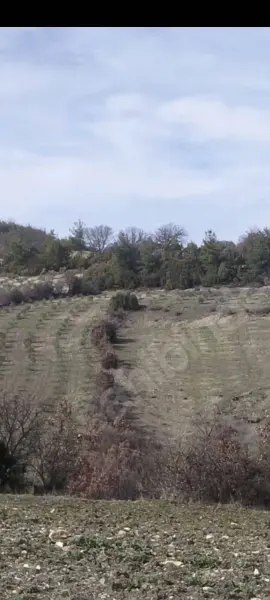 İlan Görseli https://cdn.ilanlar.com/images/l1/l2/{width}/{height}/30008961_1773971220191613477.jpg