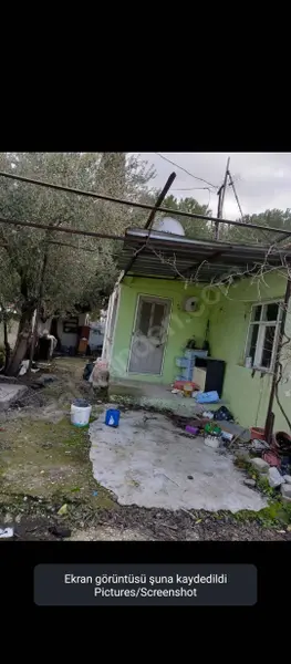 İlan Görseli 2