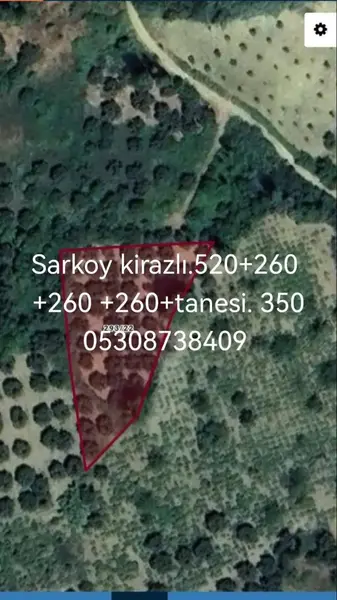 TEKİRDAĞ.ŞARKÖY.KİRAZLI.260M.ZEYTİNLİK.FUL.DENİZ.