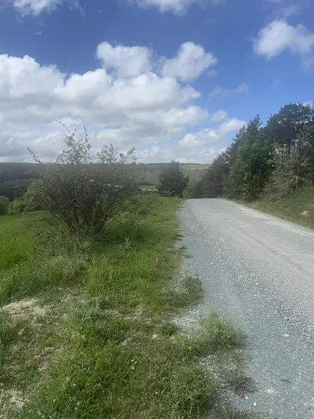 İlan Görseli 2