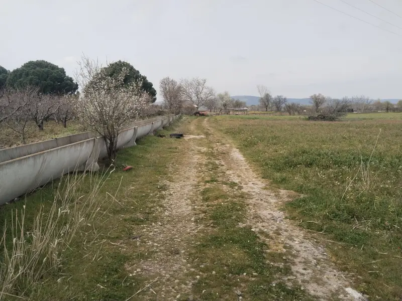İlan Görseli 2