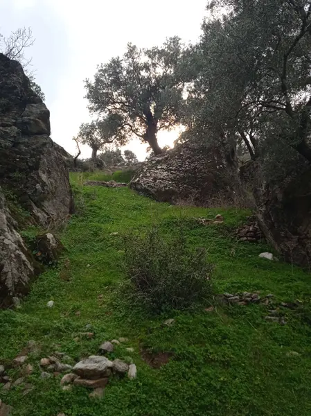 advert_260329_124051_2131.jpg