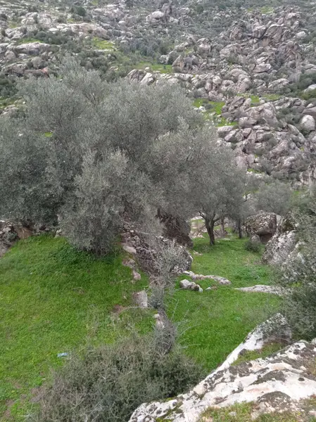 İlan Görseli 3