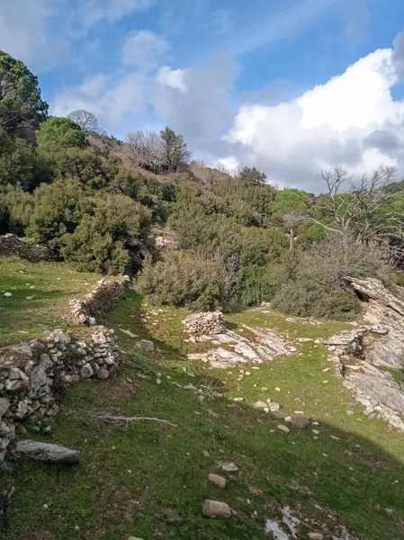 İlan Görseli 3