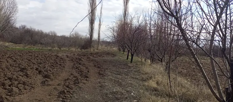 İlan Görseli https://cdn.ilanlar.com/images/l1/l2/{width}/{height}/30009437_1775153473259785329.jpg